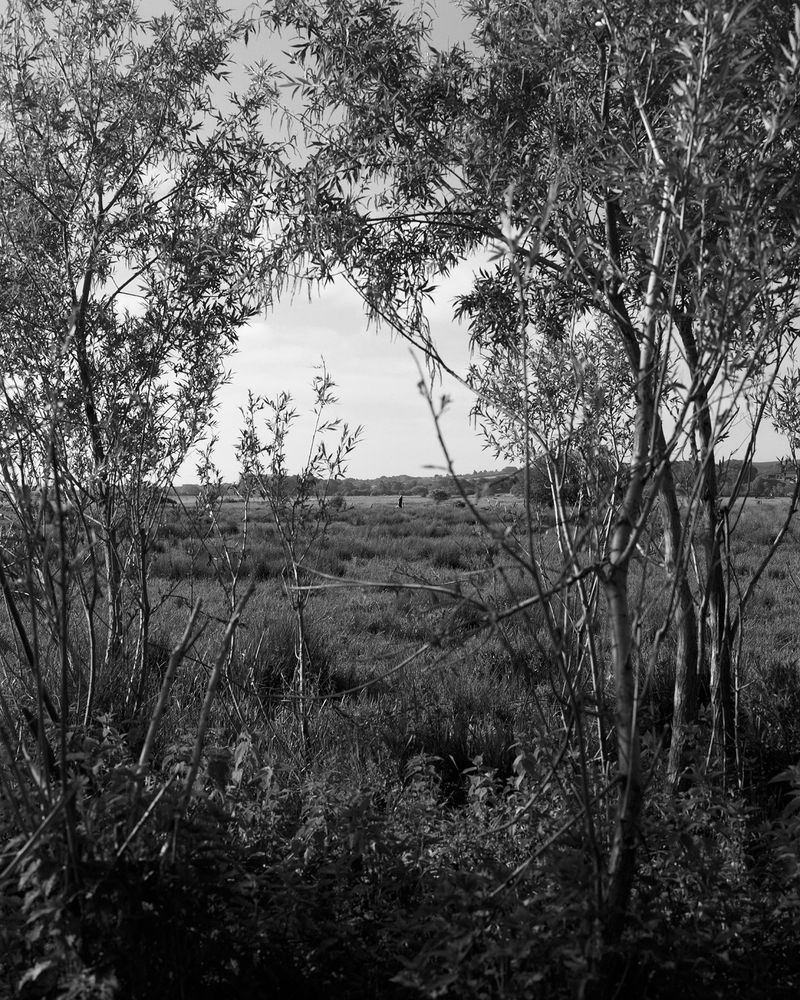 © Sadie Catt - Image from the Beekeeper photography project