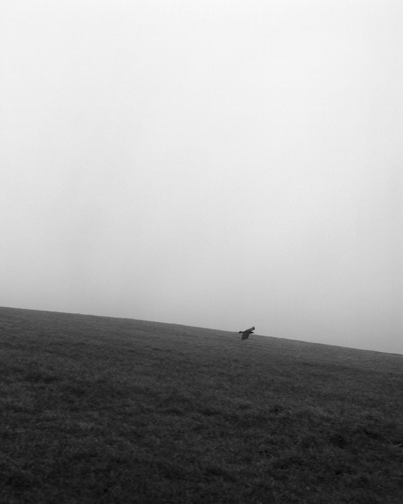 © Sadie Catt - Image from the Beekeeper photography project