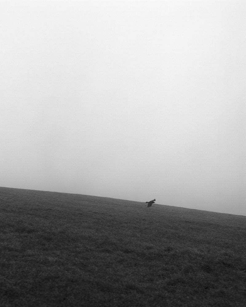 © Sadie Catt - Image from the Beekeeper photography project