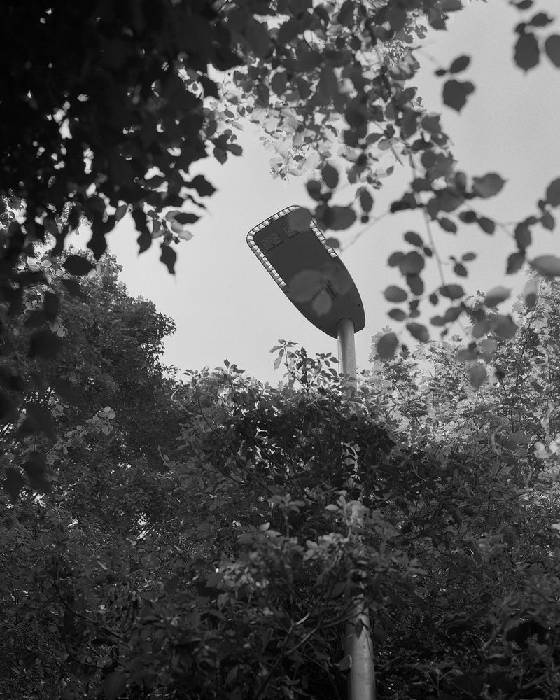 © Sadie Catt - Image from the Beekeeper photography project