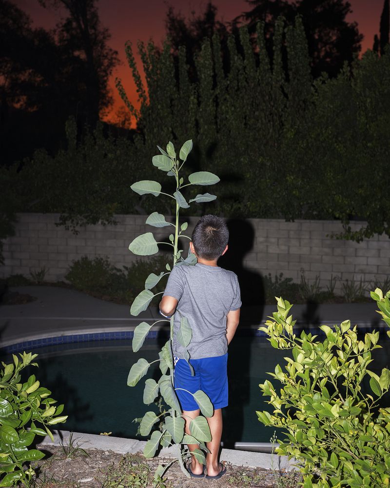 © Jenny Kim - Plant Growth