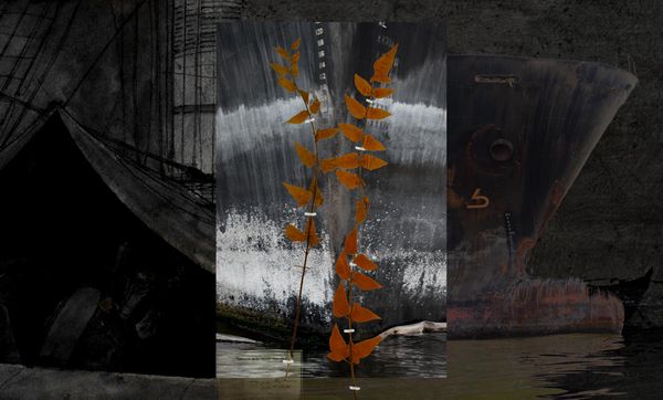 © Claudia Jaguaribe - Image from the Traveling Species photography project