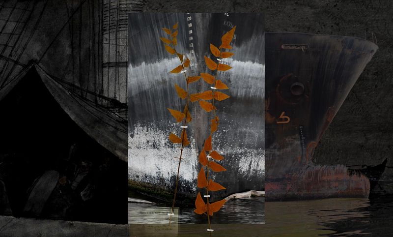 © Claudia Jaguaribe - Image from the Traveling Species photography project