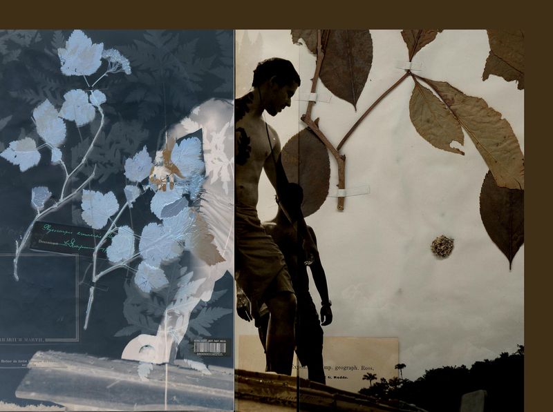 © Claudia Jaguaribe - Image from the Traveling Species photography project