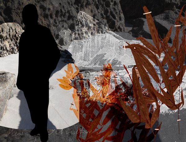 © Claudia Jaguaribe - Image from the Traveling Species photography project