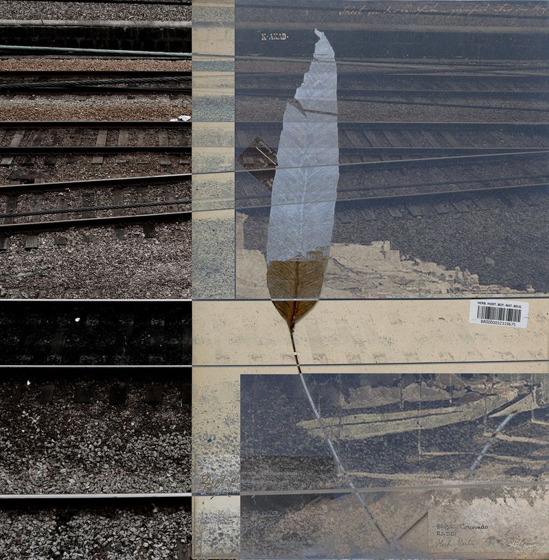 © Claudia Jaguaribe - Image from the Traveling Species photography project