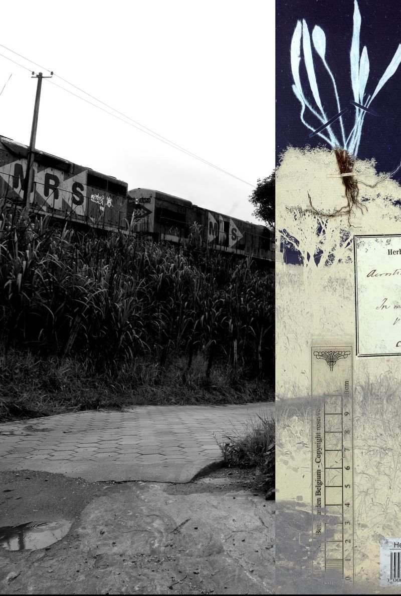 © Claudia Jaguaribe - Image from the Traveling Species photography project