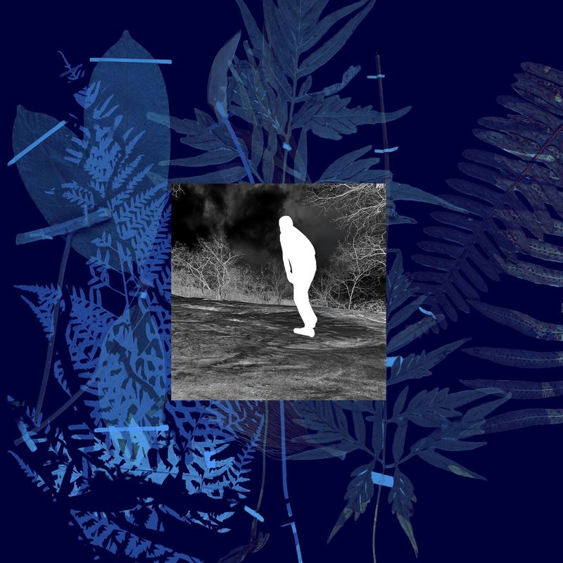 © Claudia Jaguaribe - Image from the Traveling Species photography project