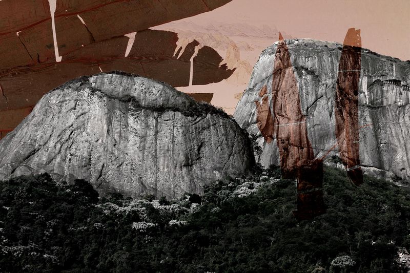 © Claudia Jaguaribe - Image from the Traveling Species photography project