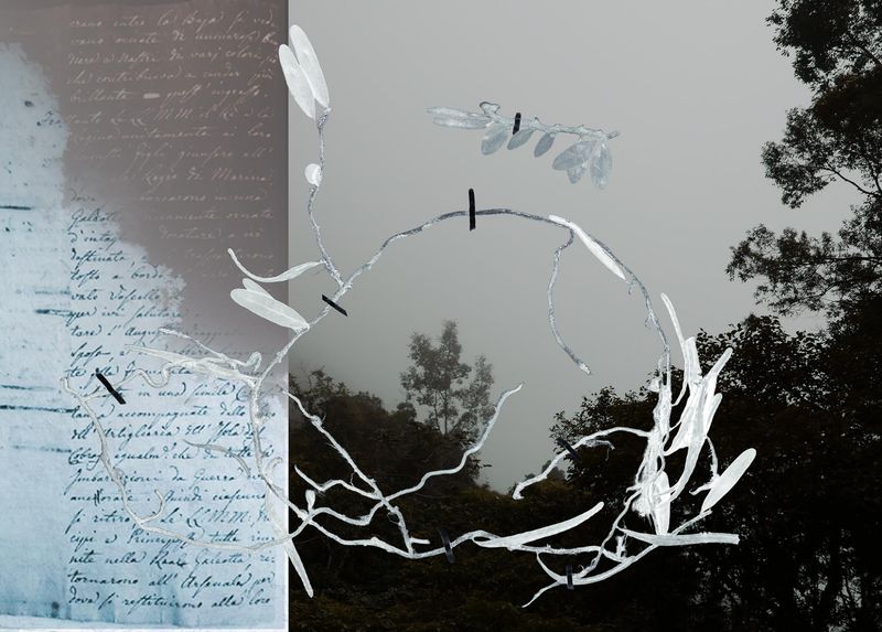 © Claudia Jaguaribe - Image from the Traveling Species photography project