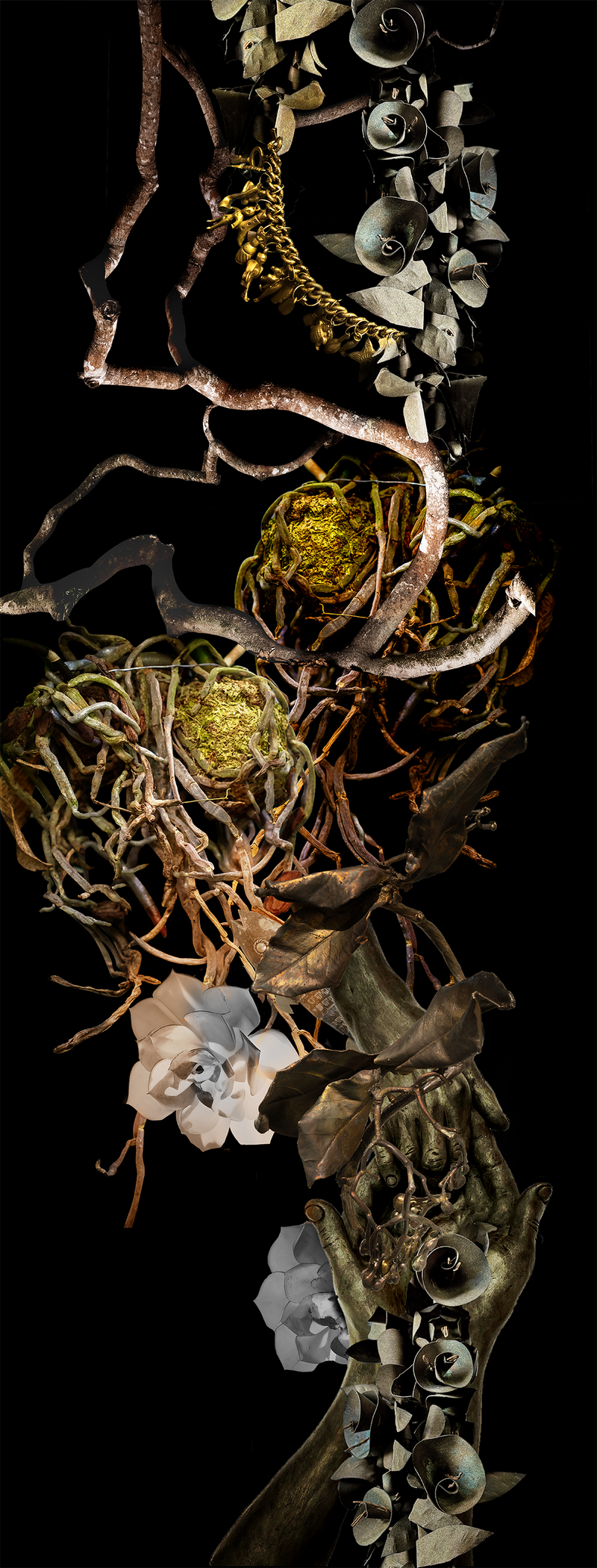 © Claudia Jaguaribe - Image from the Vivarium photography project