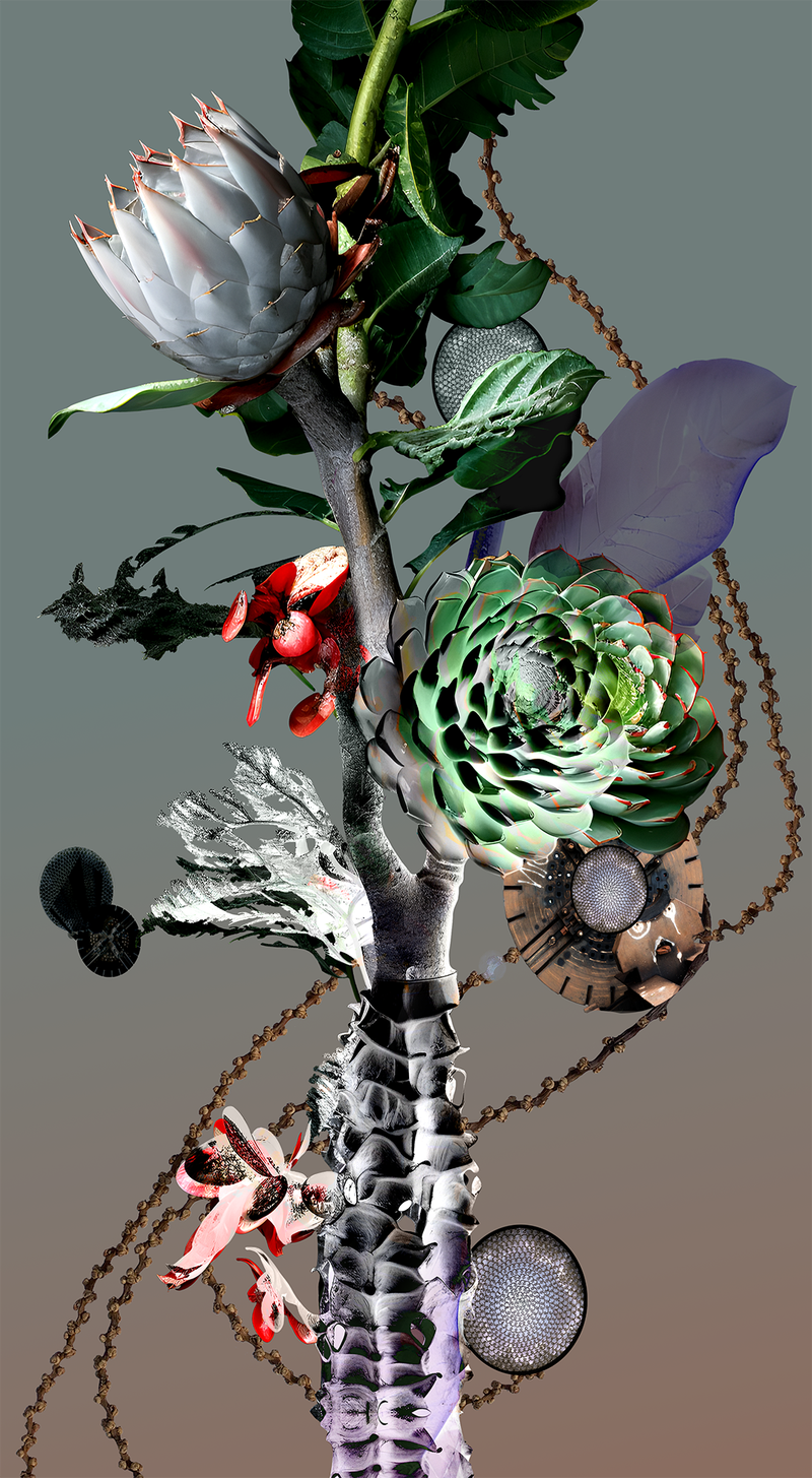 © Claudia Jaguaribe - Image from the Vivarium photography project