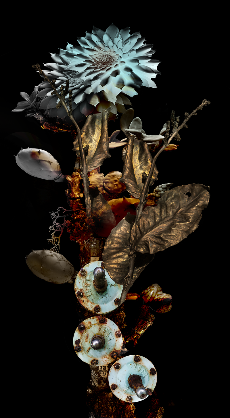 © Claudia Jaguaribe - Image from the Vivarium photography project