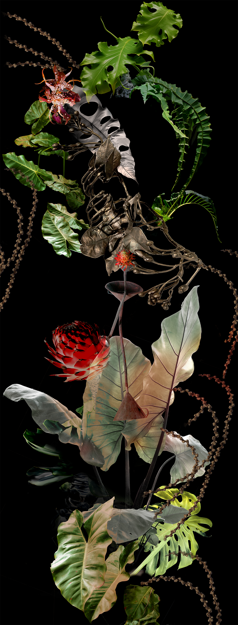 © Claudia Jaguaribe - Image from the Vivarium photography project