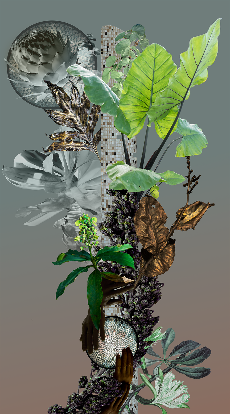 © Claudia Jaguaribe - Image from the Vivarium photography project