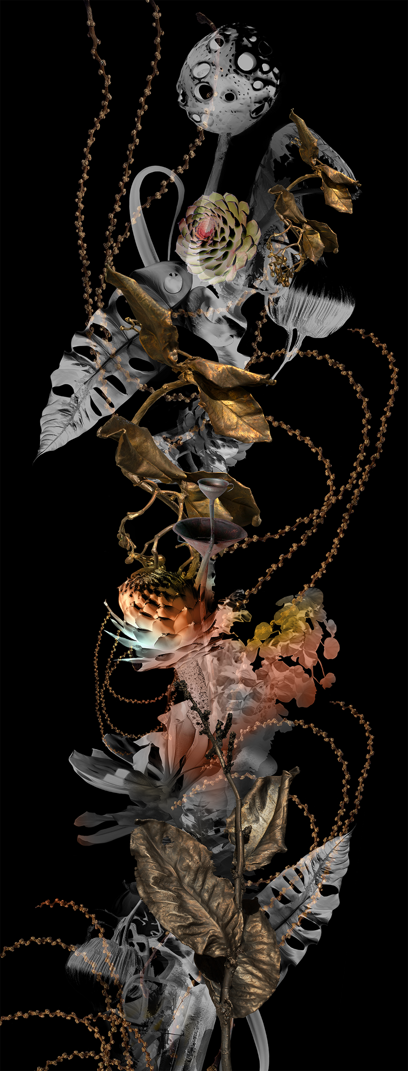 © Claudia Jaguaribe - Image from the Vivarium photography project