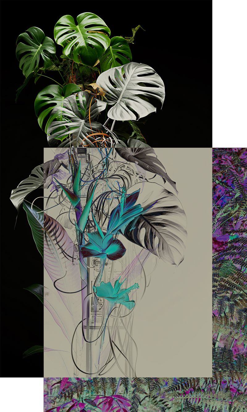 © Claudia Jaguaribe - Image from the Vivarium photography project