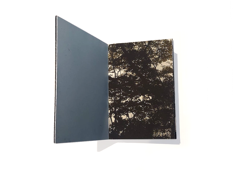 © Claudia Jaguaribe - Image from the Vivarium photography project