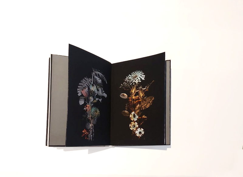 © Claudia Jaguaribe - Image from the Vivarium photography project