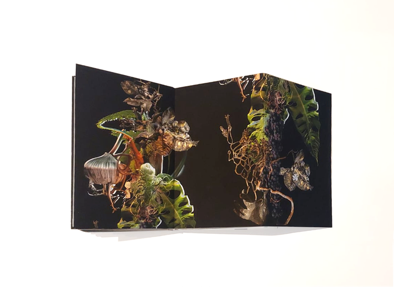 © Claudia Jaguaribe - Image from the Vivarium photography project