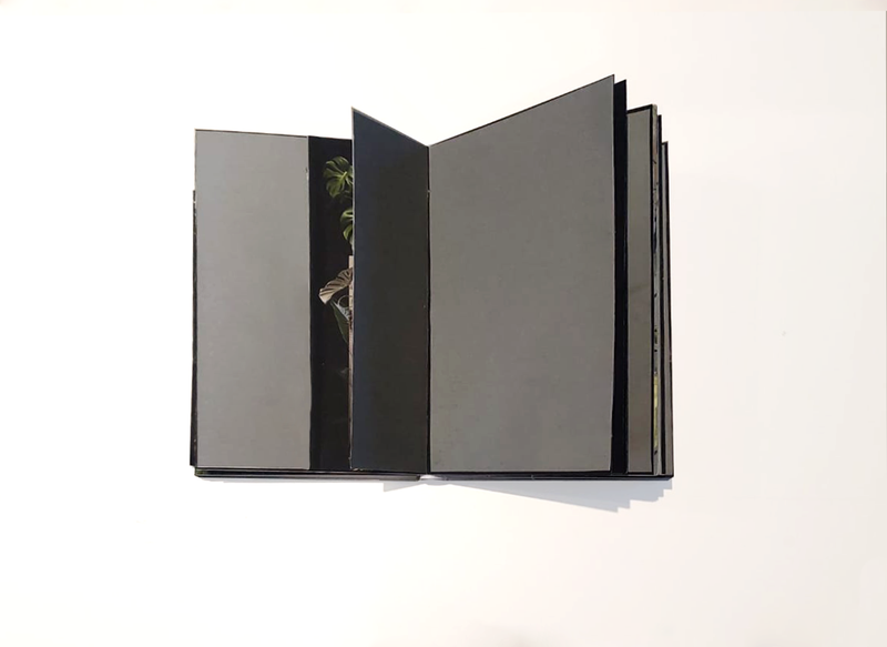 © Claudia Jaguaribe - Image from the Vivarium photography project