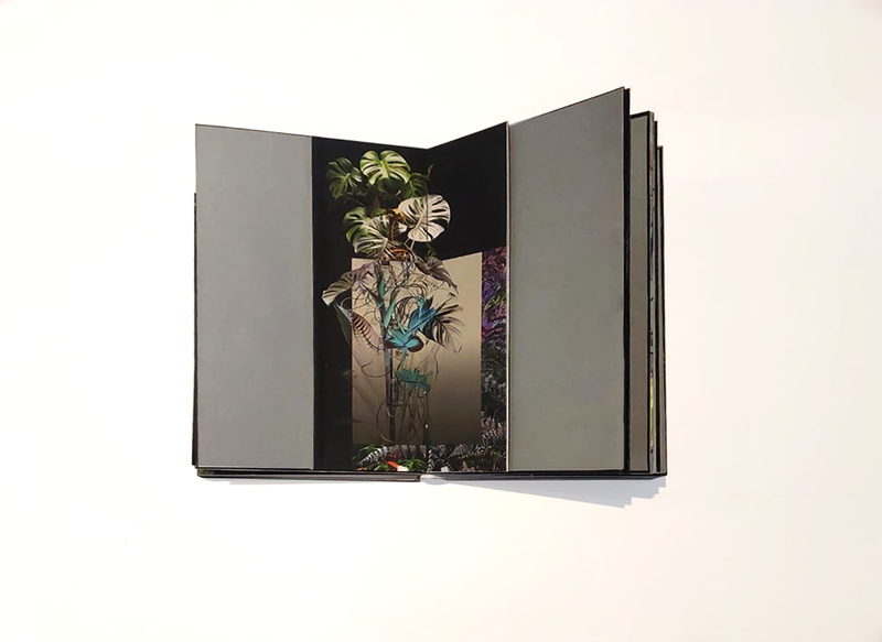 © Claudia Jaguaribe - Image from the Vivarium photography project