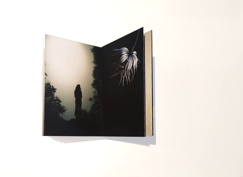 © Claudia Jaguaribe - Image from the Vivarium photography project