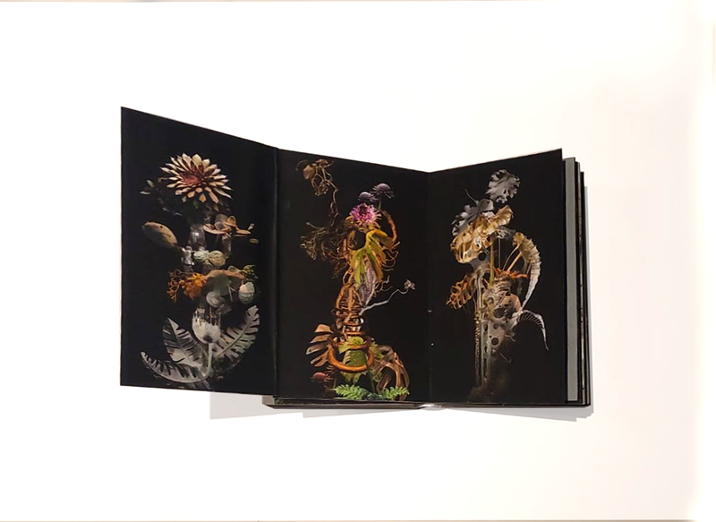 © Claudia Jaguaribe - Image from the Vivarium photography project