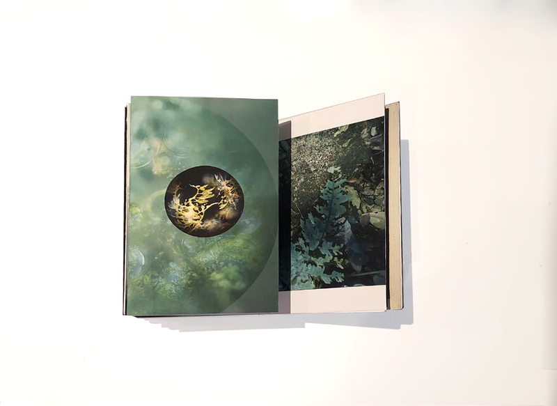 © Claudia Jaguaribe - Image from the Vivarium photography project