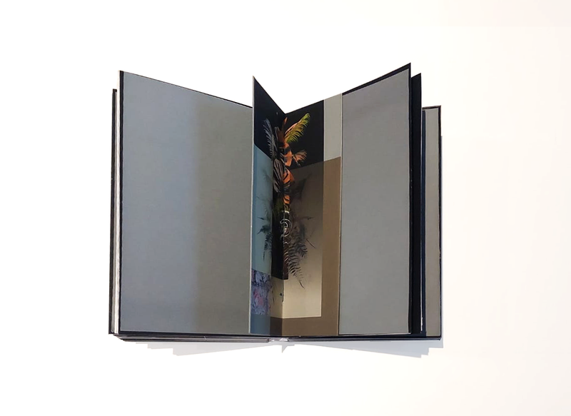 © Claudia Jaguaribe - Image from the Vivarium photography project