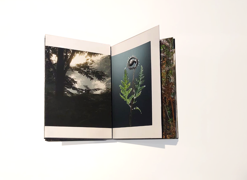 © Claudia Jaguaribe - Image from the Vivarium photography project