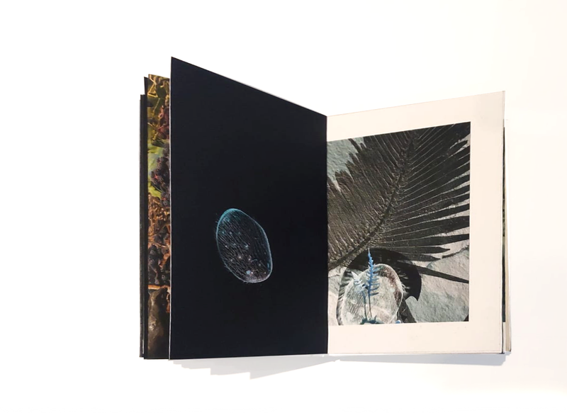 © Claudia Jaguaribe - Image from the Vivarium photography project