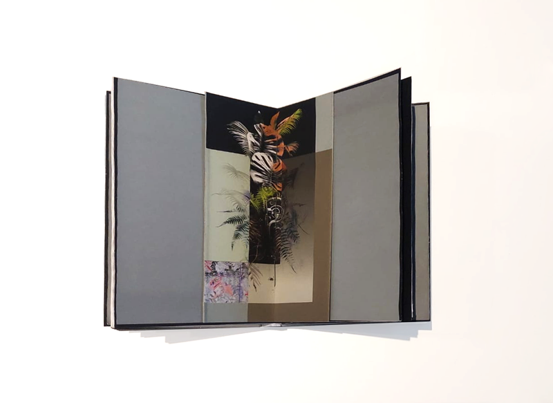 © Claudia Jaguaribe - Image from the Vivarium photography project