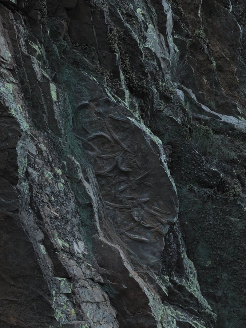 © Michele Palazzi - Portugal, Alentejo