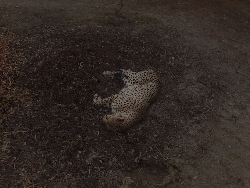 © Michele Palazzi - Portugal, Alentejo