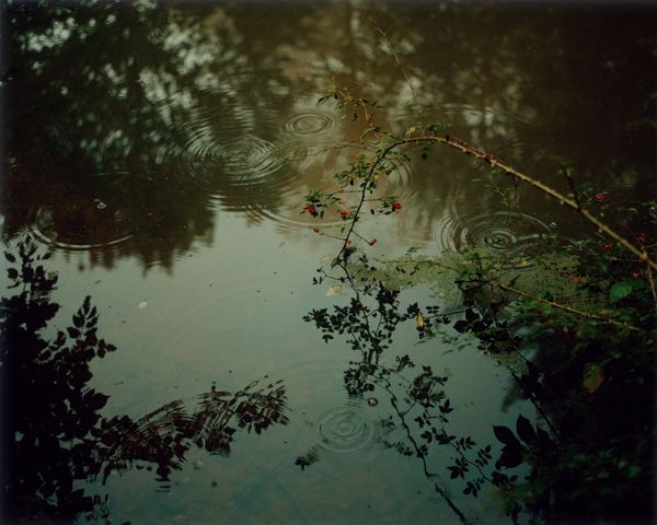 © Emma Hardy