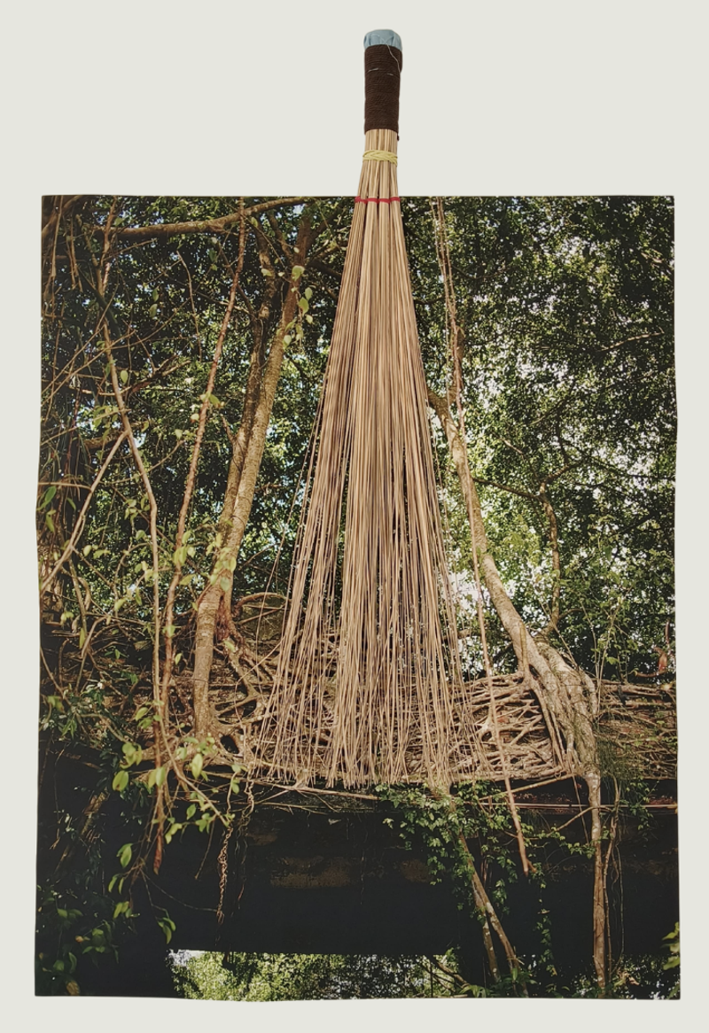 © Angie - Rooted Guardian
