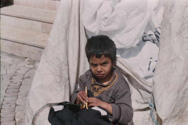 © Aksel Beril Hasbay - wild