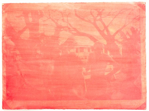 © Evelyne Anderson - Navy Boys 1 (scanned film, anthotype print) 2025