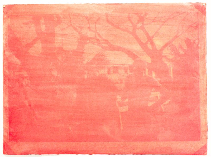 © Evelyne Anderson - Navy Boys 1 (scanned film, anthotype print) 2025