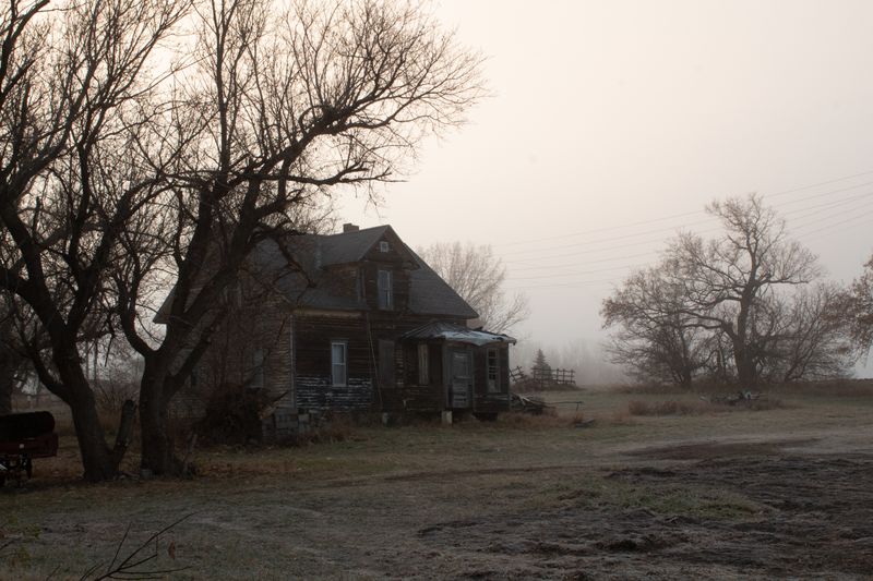 © Evelyne Anderson - Untitled #7 (farm house), 2024