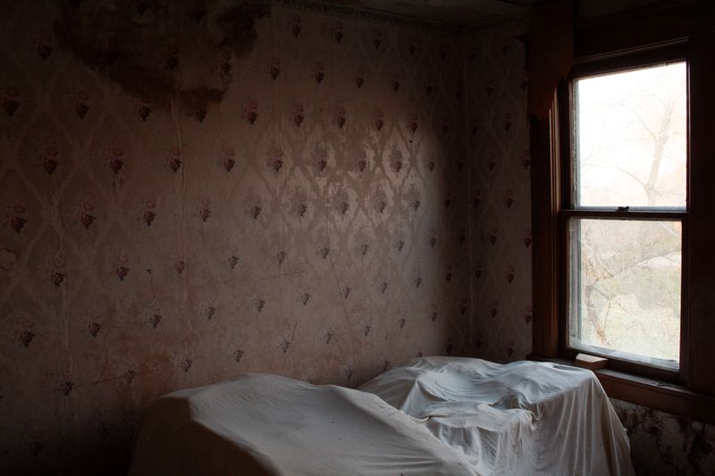 © Evelyne Anderson - Untitled #21 (pink wallpaper), 2024