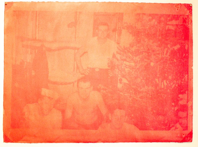 © Evelyne Anderson - Navy Boys 2 (scanned film, anthotype print) 2025