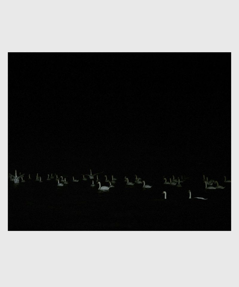 © Ville Varumo - Image from the The Garden photography project