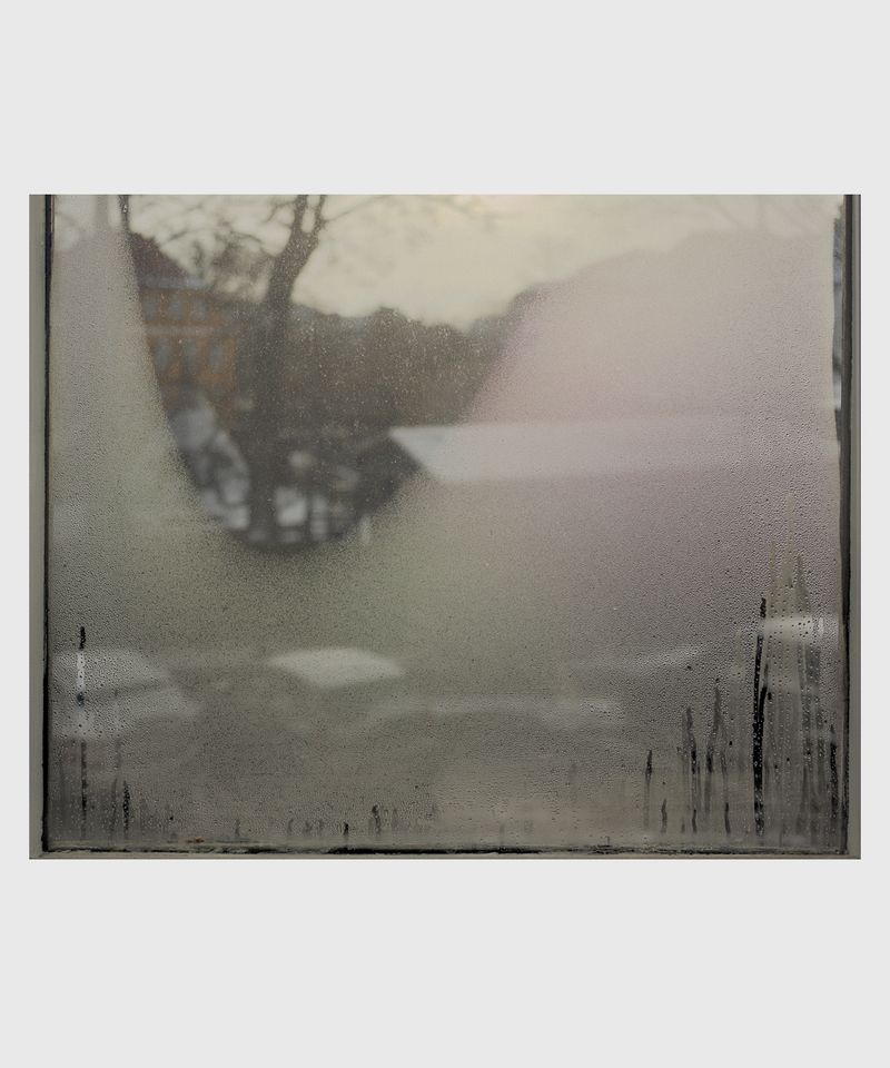 © Ville Varumo - Image from the The Garden photography project
