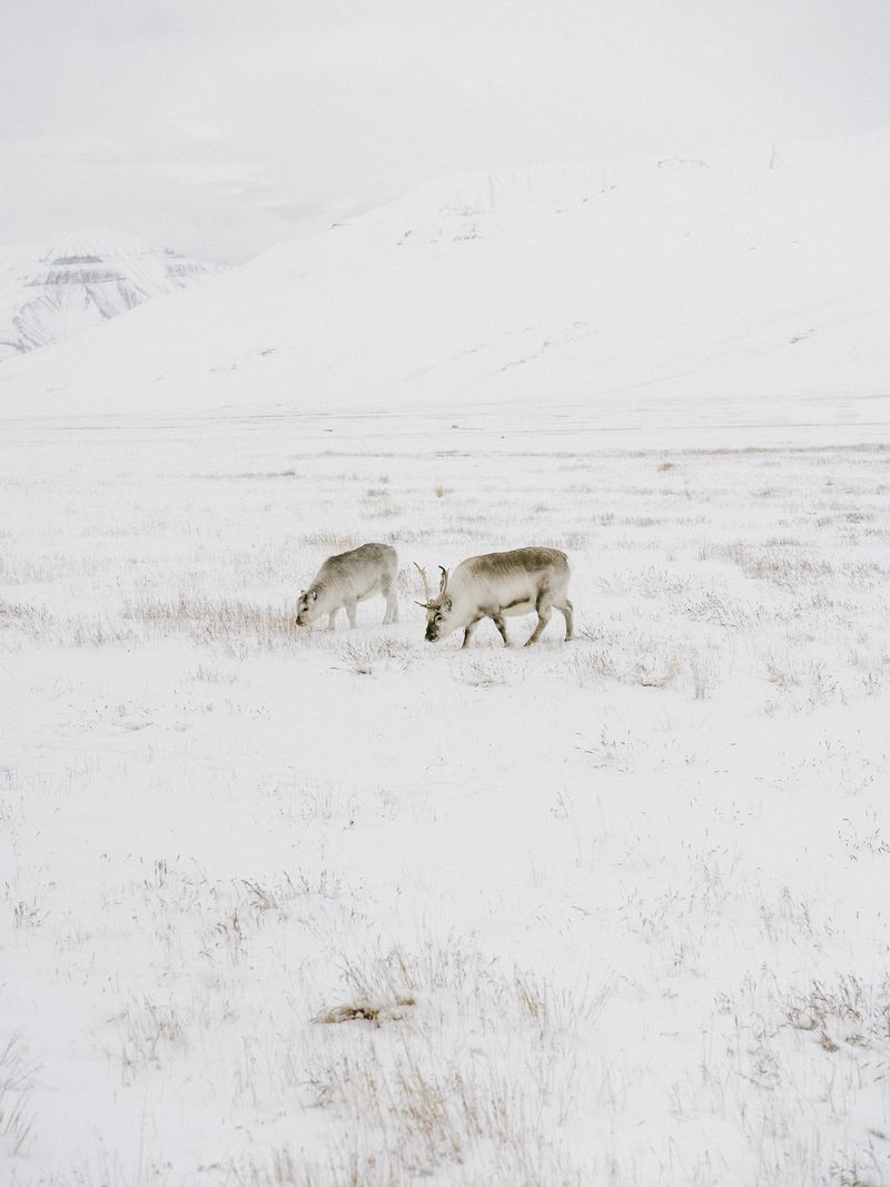 © Angel Valiente - Image from the Melting Points photography project