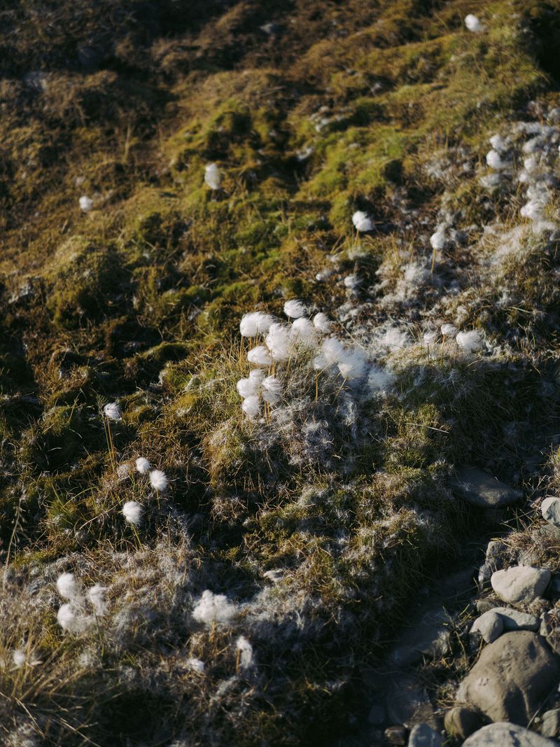 © Angel Valiente - Image from the Melting Points photography project