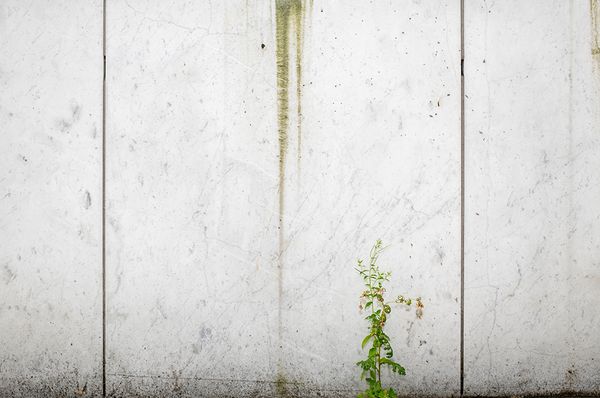 © Clare Bottomley - Finlandia House Marble Facade I 300x200cm, Wall Print