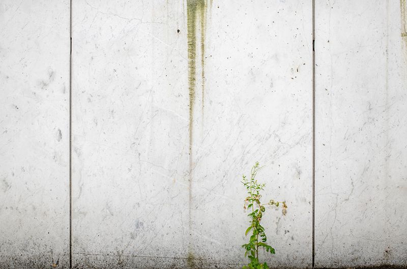 © Clare Bottomley - Finlandia House Marble Facade I 300x200cm, Wall Print