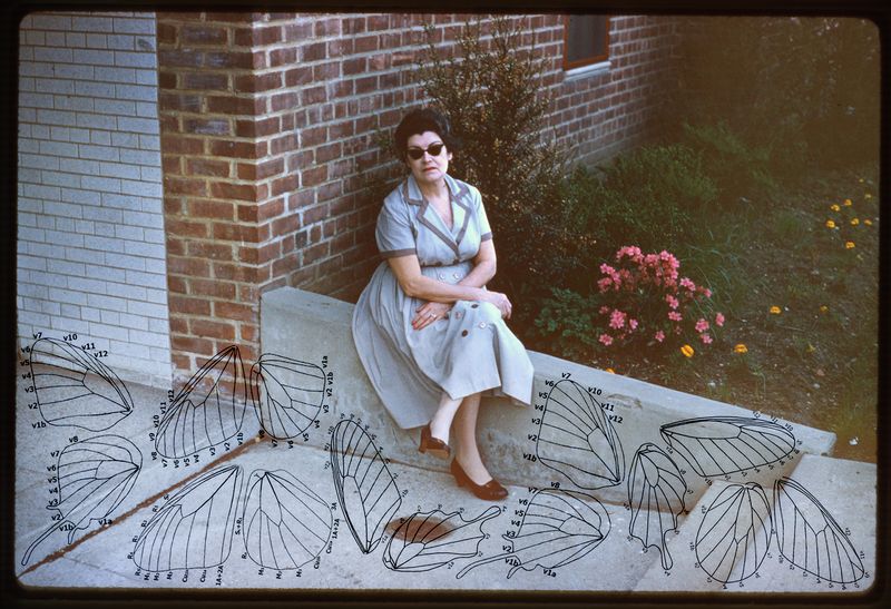 © Jennifer Cabral - Image from the DEPRESSION. POSSESSION. REPRESSION. photography project